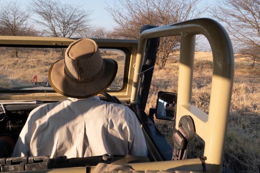 Safari pas cher : top 5 des destinations pour un premier voyage