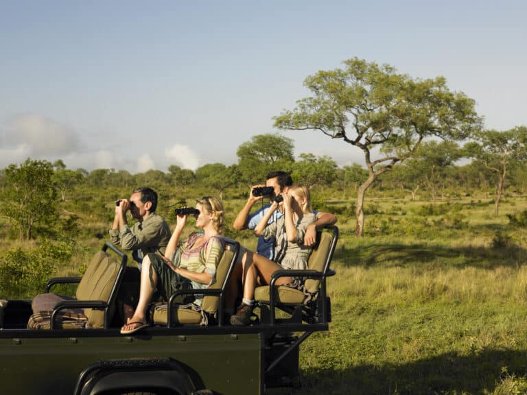 Safari pas cher : top 5 des destinations pour un premier voyage