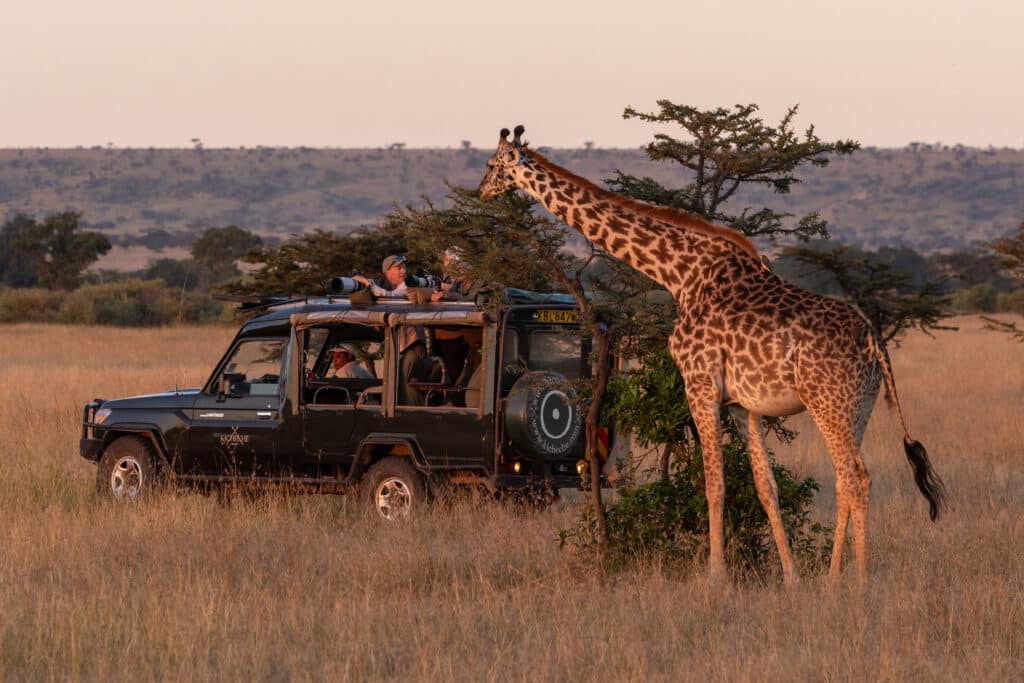 Safari pas cher : top 5 des destinations pour un premier voyage