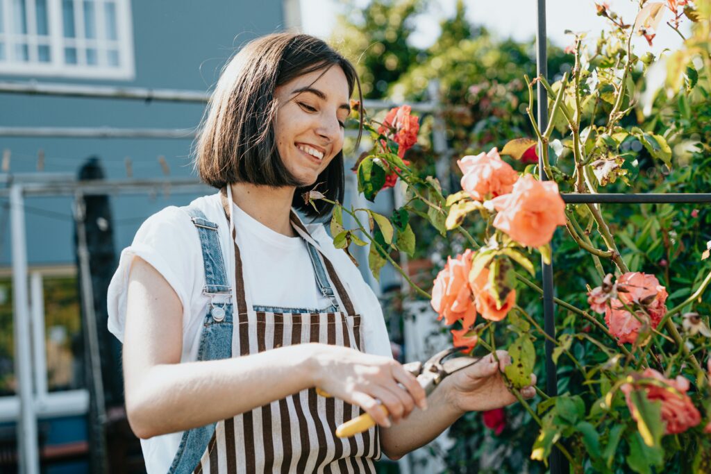 Quand et comment tailler les lauriers roses ?
