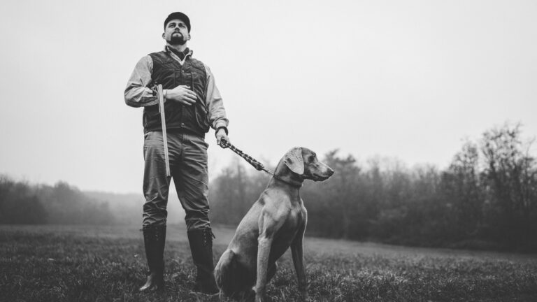 Top 10 des races de chiens de chasse