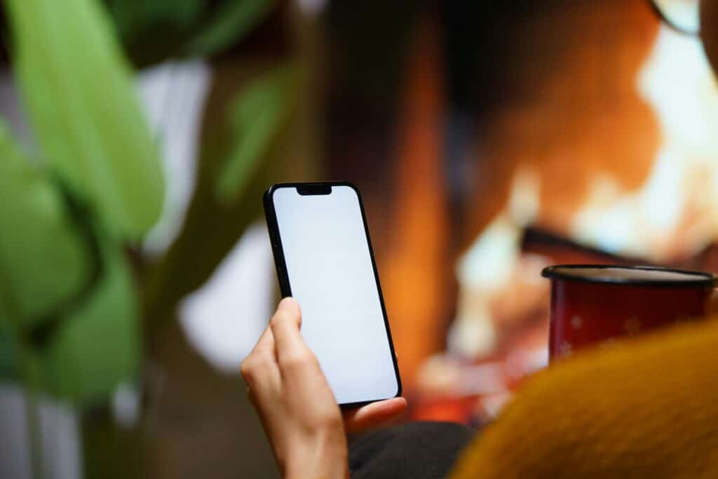 Fruitz : comment voir ses likes sans payer ?